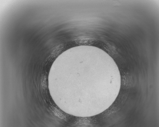 X0000059250820200510211626