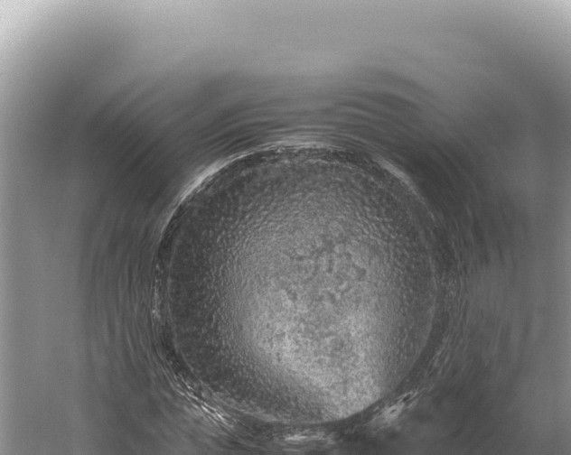 X0000059250823200510211626