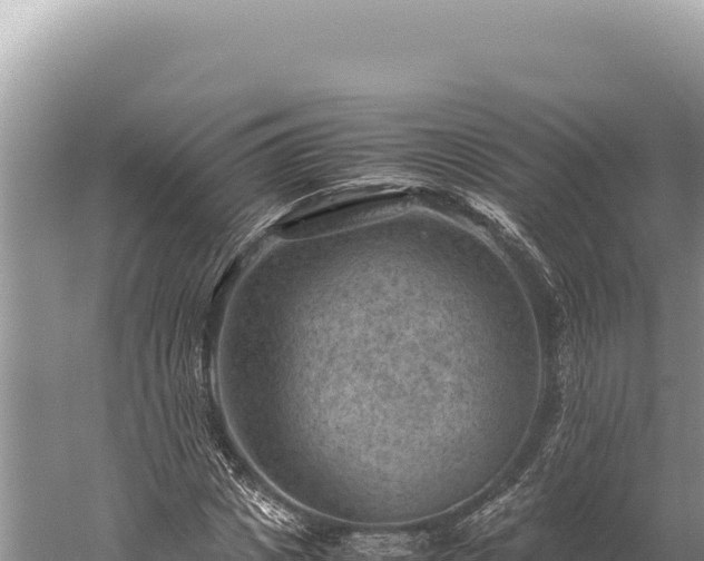 X0000059250825200510211626