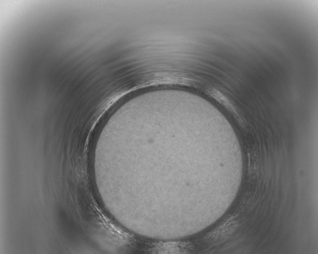 X0000059250828200510211626