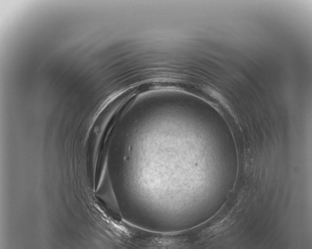 X0000059250829200510211626