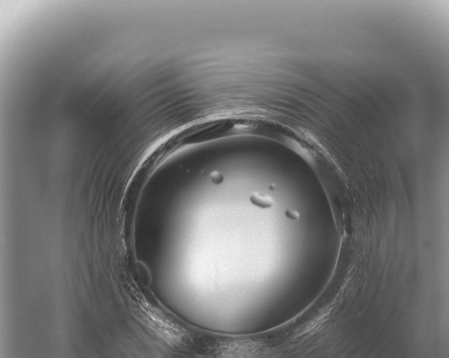 X0000059250830200510211626