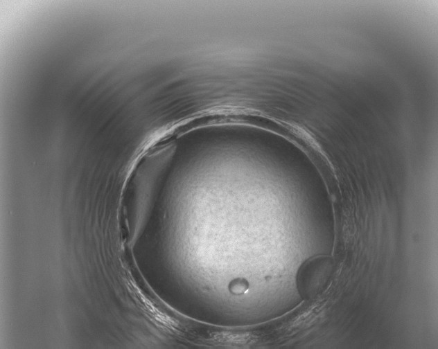 X0000059250831200510211626