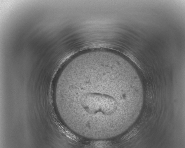 X0000059250832200510211626