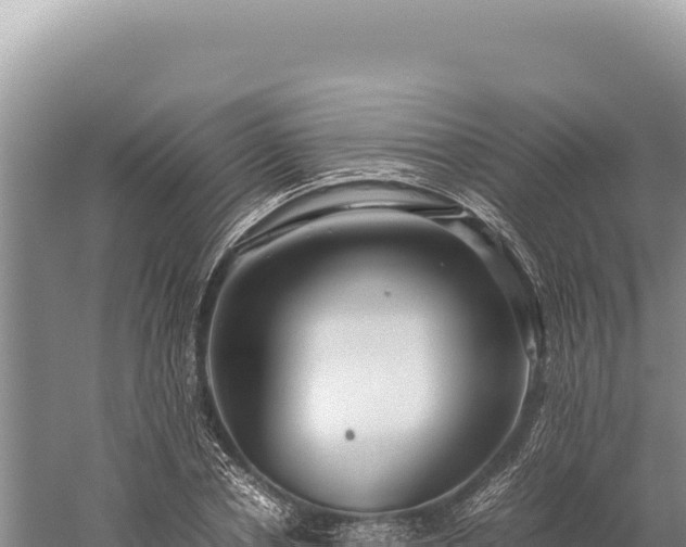 X0000059250834200510211626