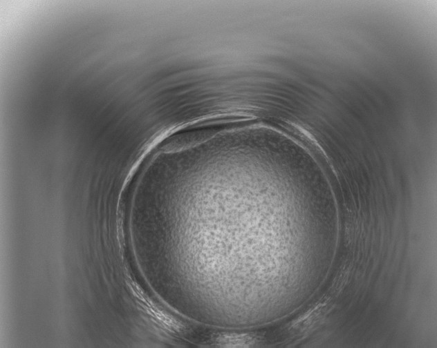 X0000059250835200510211626