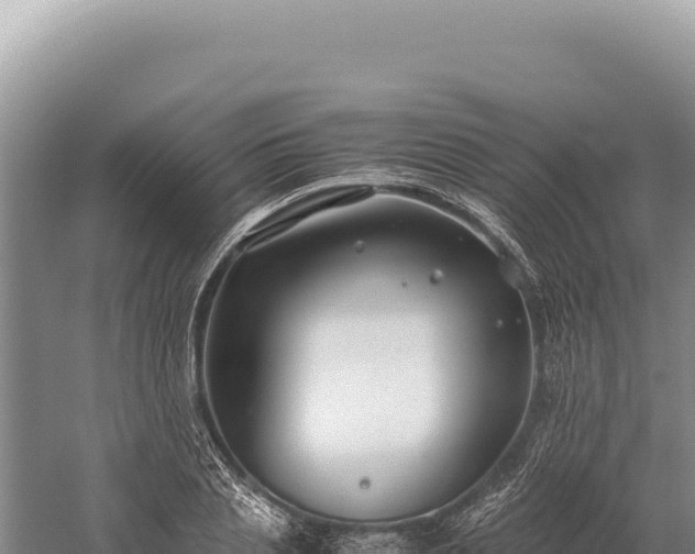 X0000059250837200510211626