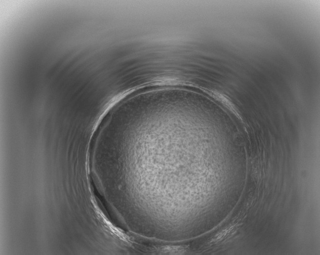 X0000059250839200510211627