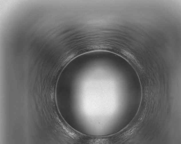 X0000059250841200510211627