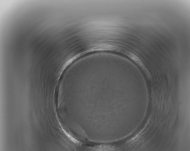 X0000059250842200510211627