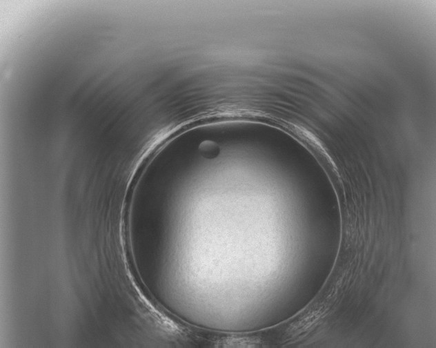 X0000059250847200510211627