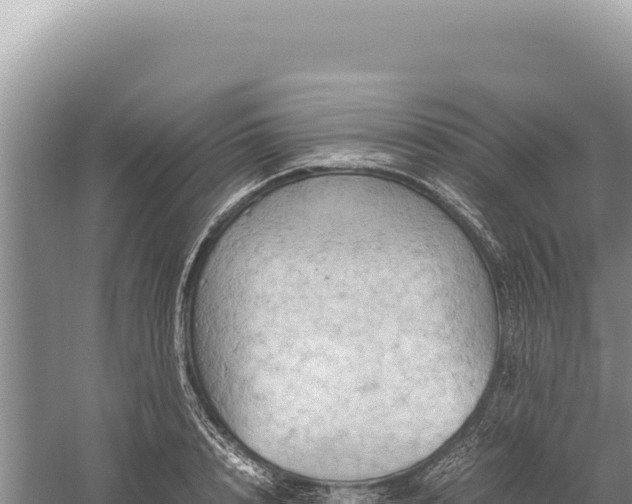 X0000059250848200510211627