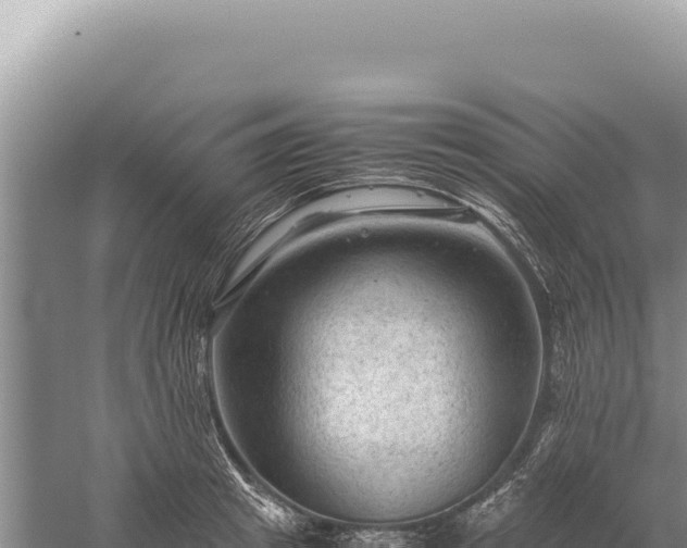 X0000059250849200510211627