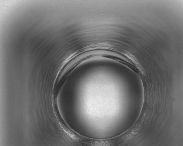 X0000059250850200510211627