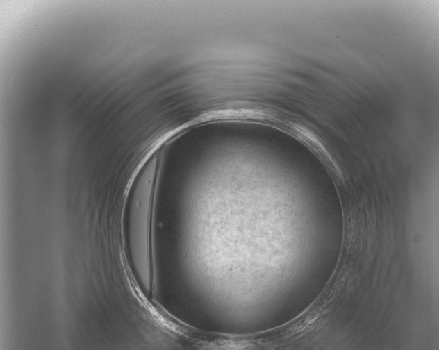 X0000059250852200510211627