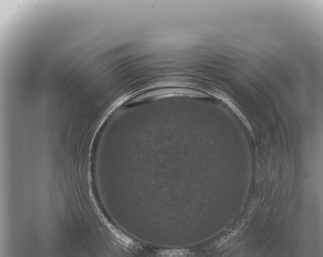 X0000059250853200510211627