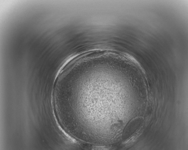 X0000059250855200510211627