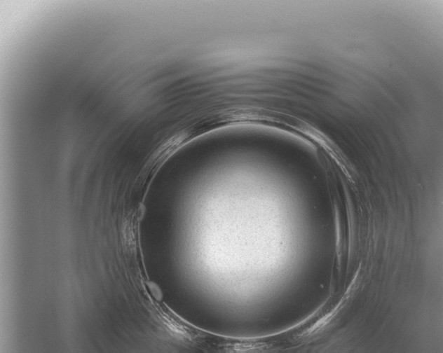 X0000059250857200510211627