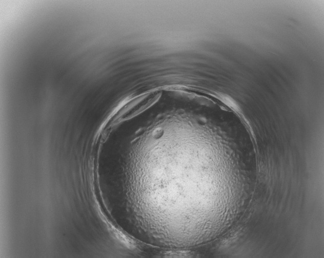 X0000059250859200510211627