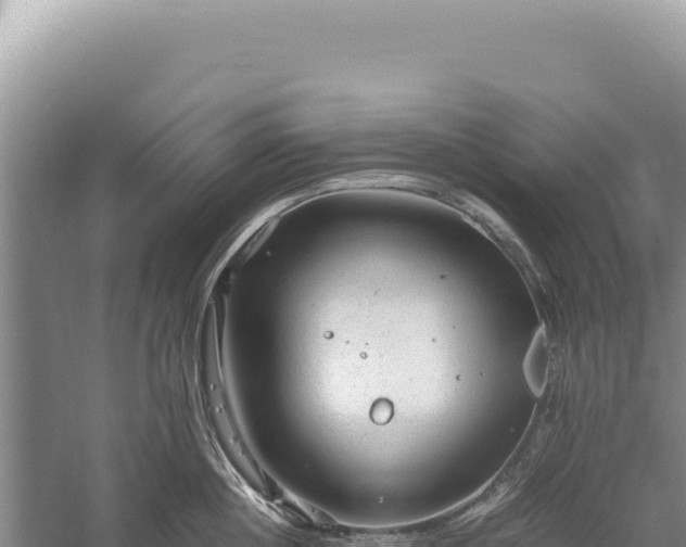 X0000059250860200510211627