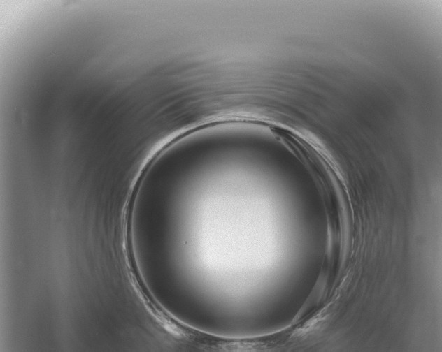 X0000059250862200510211627