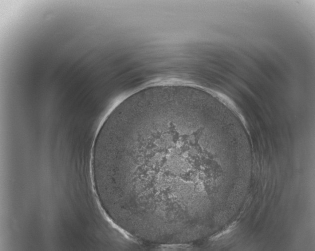 X0000059250863200510211627