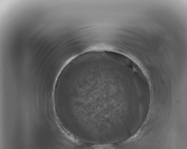 X0000059250864200510211627