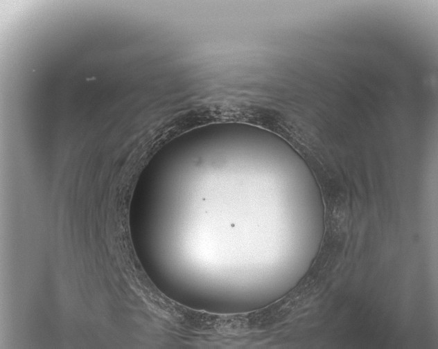 X0000059250865200510211626