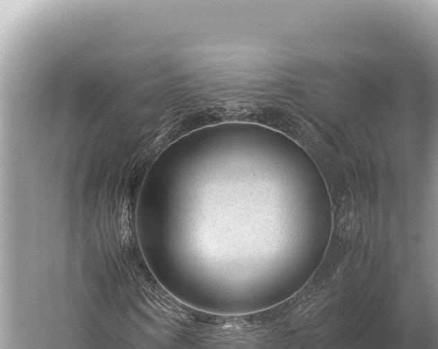 X0000059250866200510211626