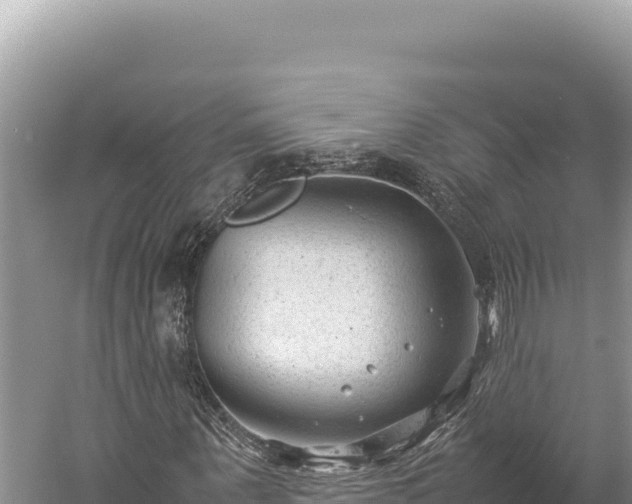 X0000059250867200510211626