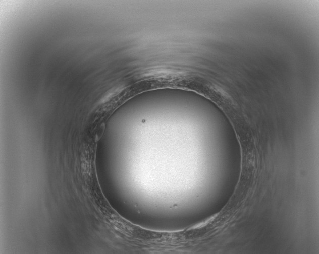 X0000059250869200510211626