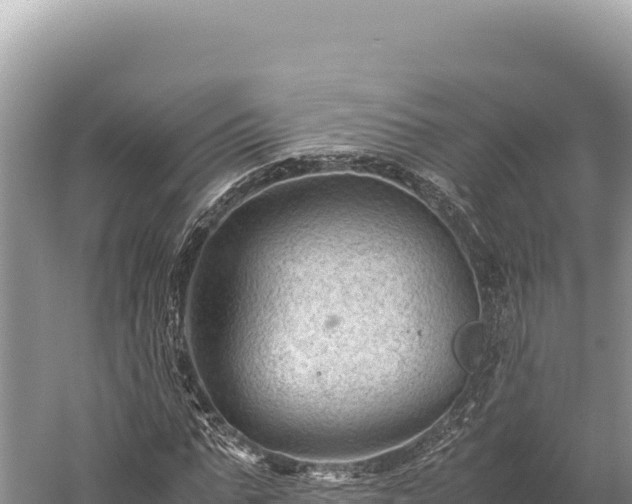 X0000059250871200510211626