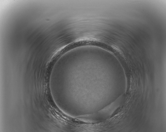 X0000059250872200510211626