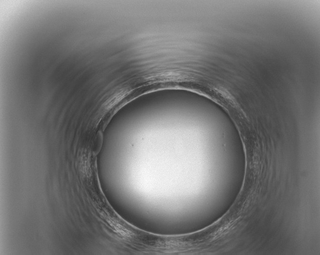 X0000059250873200510211626