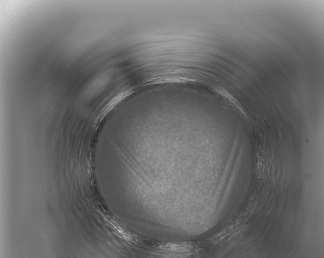 X0000059250874200510211626