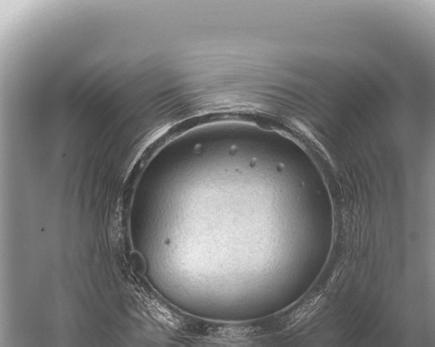 X0000059250875200510211626