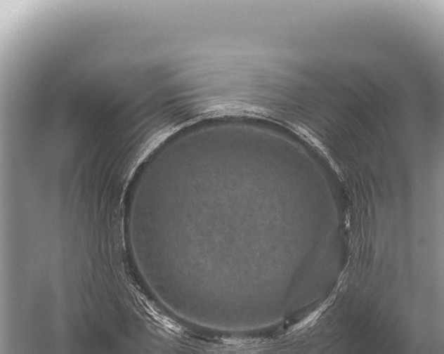 X0000059250877200510211626