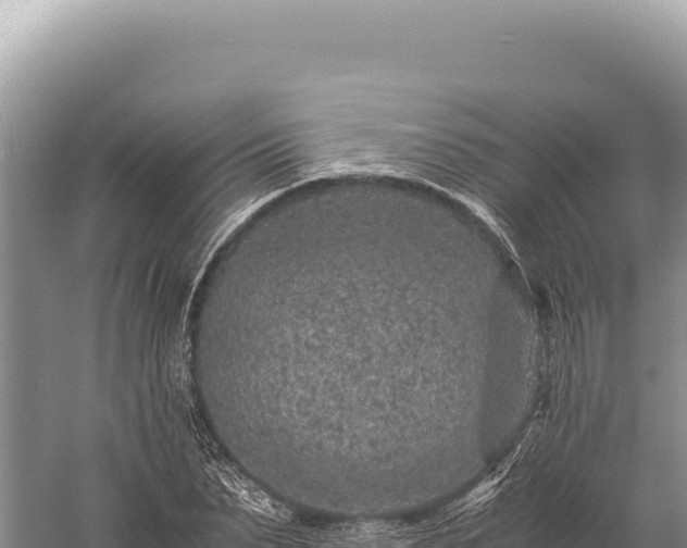 X0000059250879200510211626