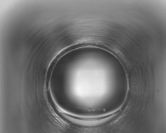 X0000059250880200510211626