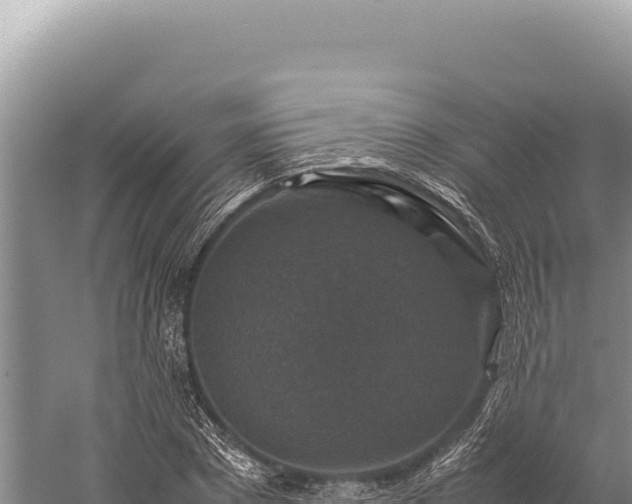 X0000059250881200510211626