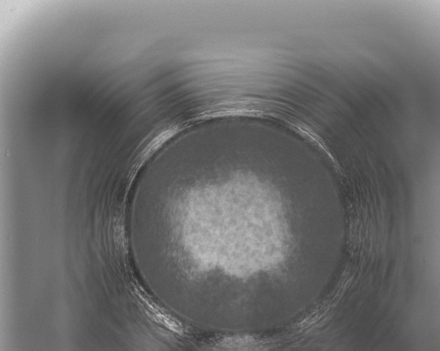 X0000059250882200510211626