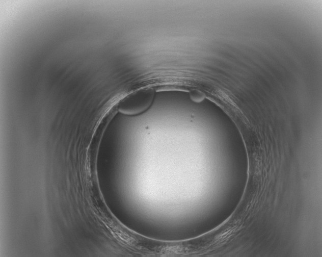 X0000059250883200510211626