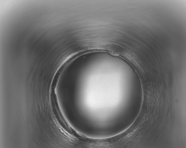 X0000059250884200510211626