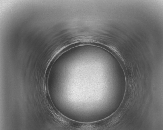 X0000059250887200510211626