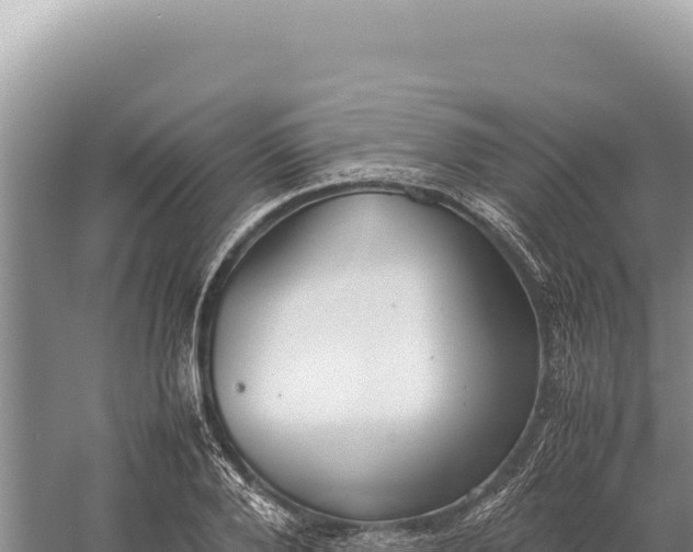 X0000059250888200510211626