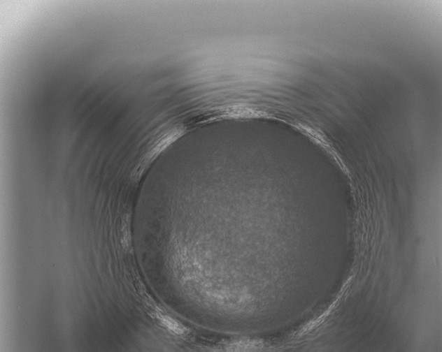 X0000059250889200510211626