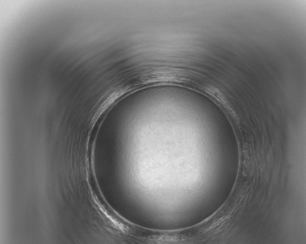 X0000059250890200510211626