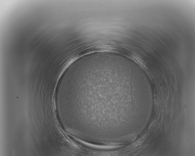 X0000059250891200510211626