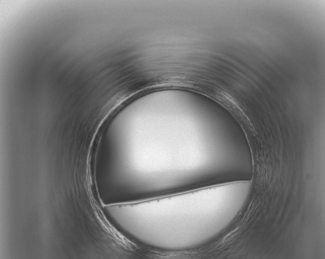 X0000059250892200510211626