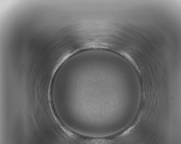 X0000059250893200510211626